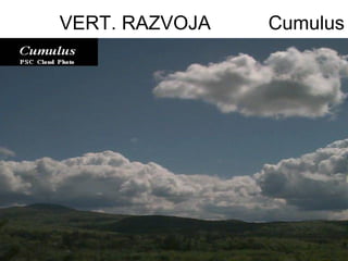 VERT. RAZVOJA   Cumulus
 