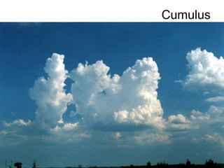 Cumulus
 