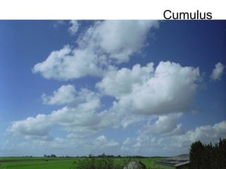 Cumulus
 