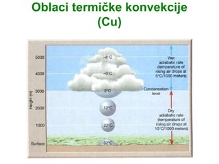 Oblaci termičke konvekcije
           (Cu)
 