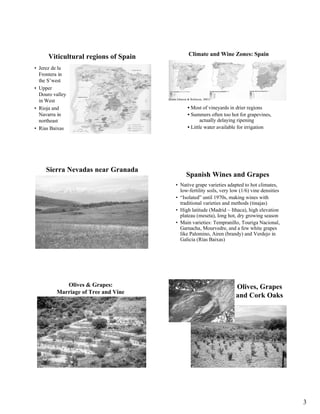 Viticultural regions of Spain                 Climate and Wine Zones: Spain

• Jerez de la
  Frontera in
  the S’west
• Up...