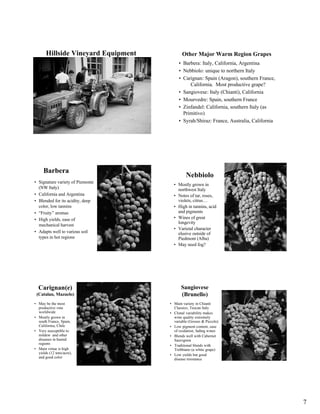 Hillside Vineyard Equipment          Other Major Warm Region Grapes
                                          • Barbera: I...