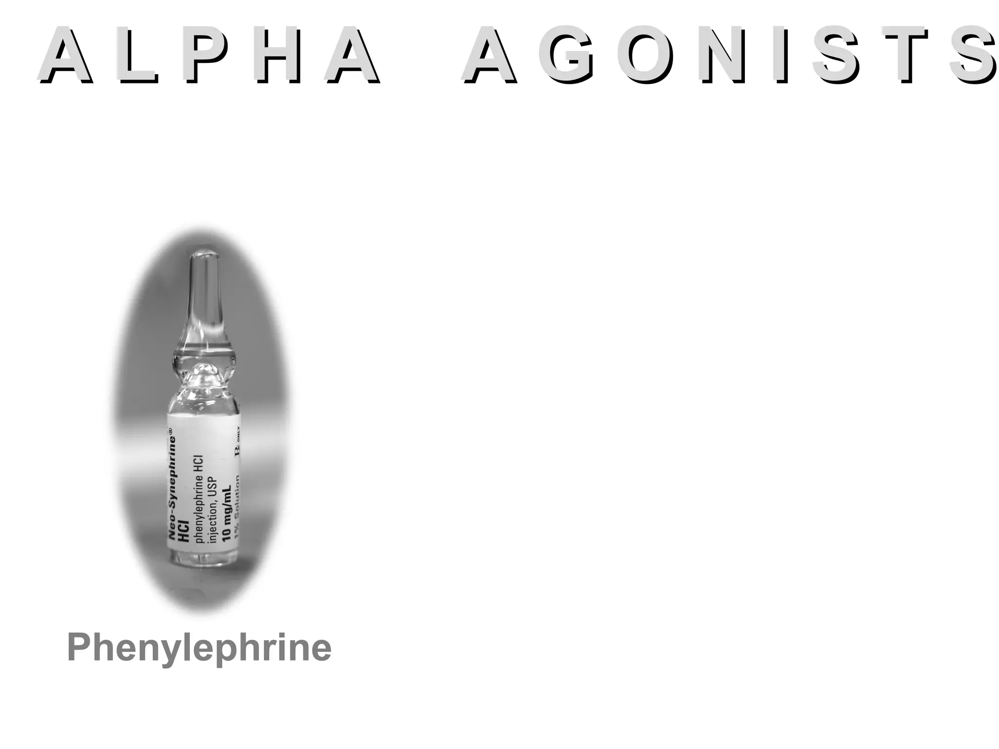 AA LL PP HH AA AA GG OO NN II SS TT SS 
Phenylephrine 
 