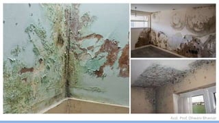 Asst. Prof. Dhwani Bhavsar
 