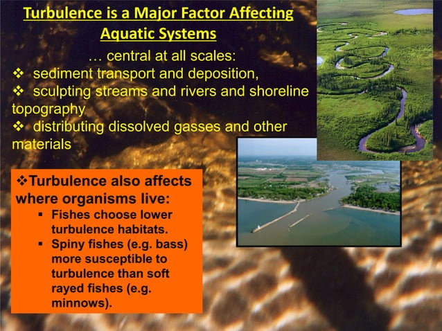 To Rule In A Turbulent World www.slideshare.net