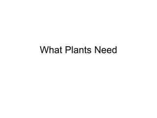 What Plants Need 