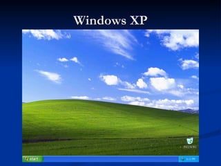 Windows XP 