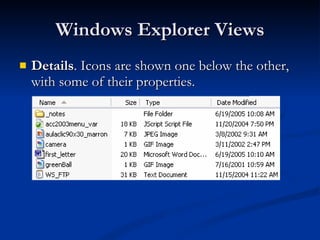 Windows Explorer Views Details . Icons are shown one below the other, with some of their properties.  