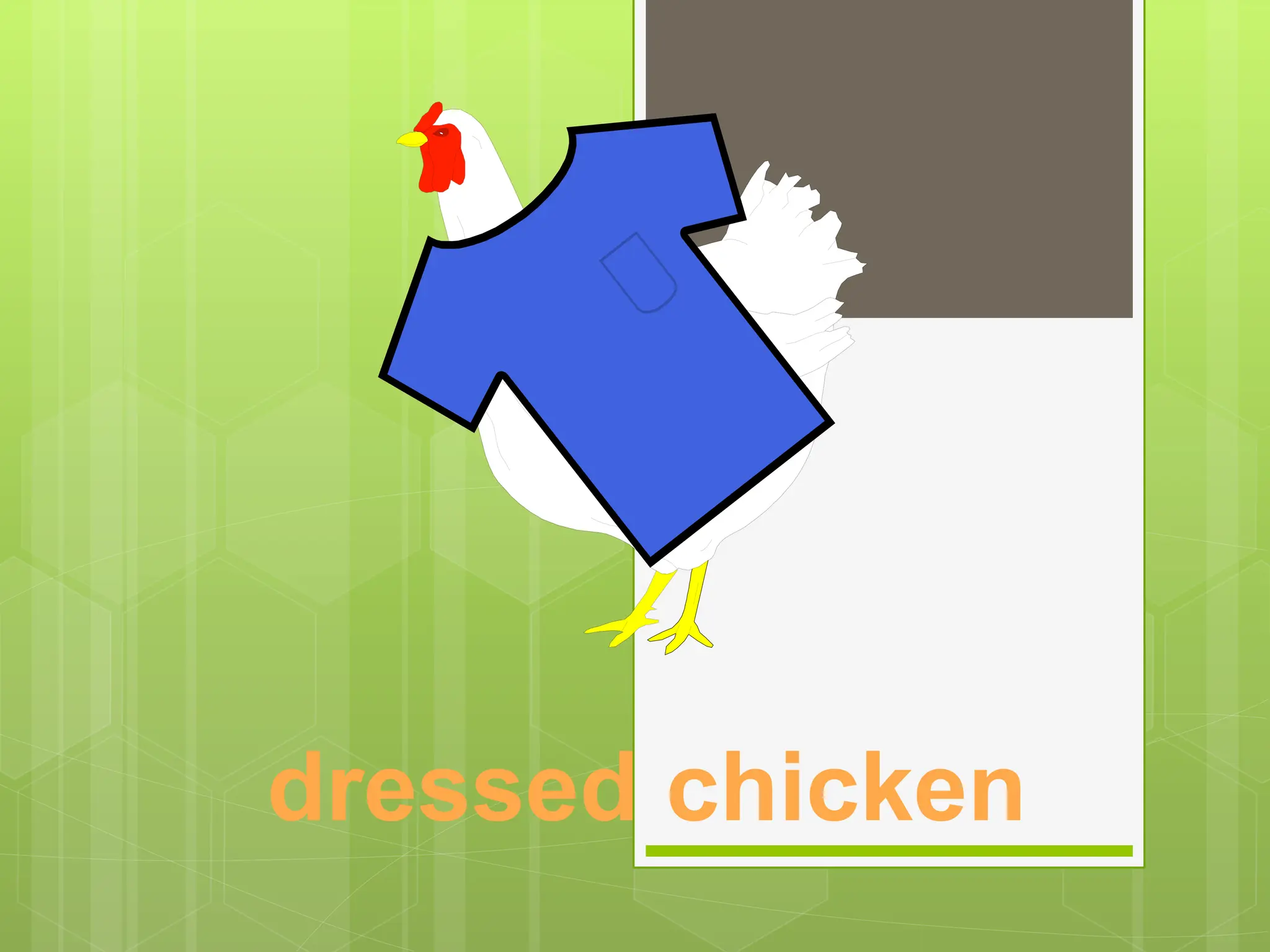 dressed chicken
 