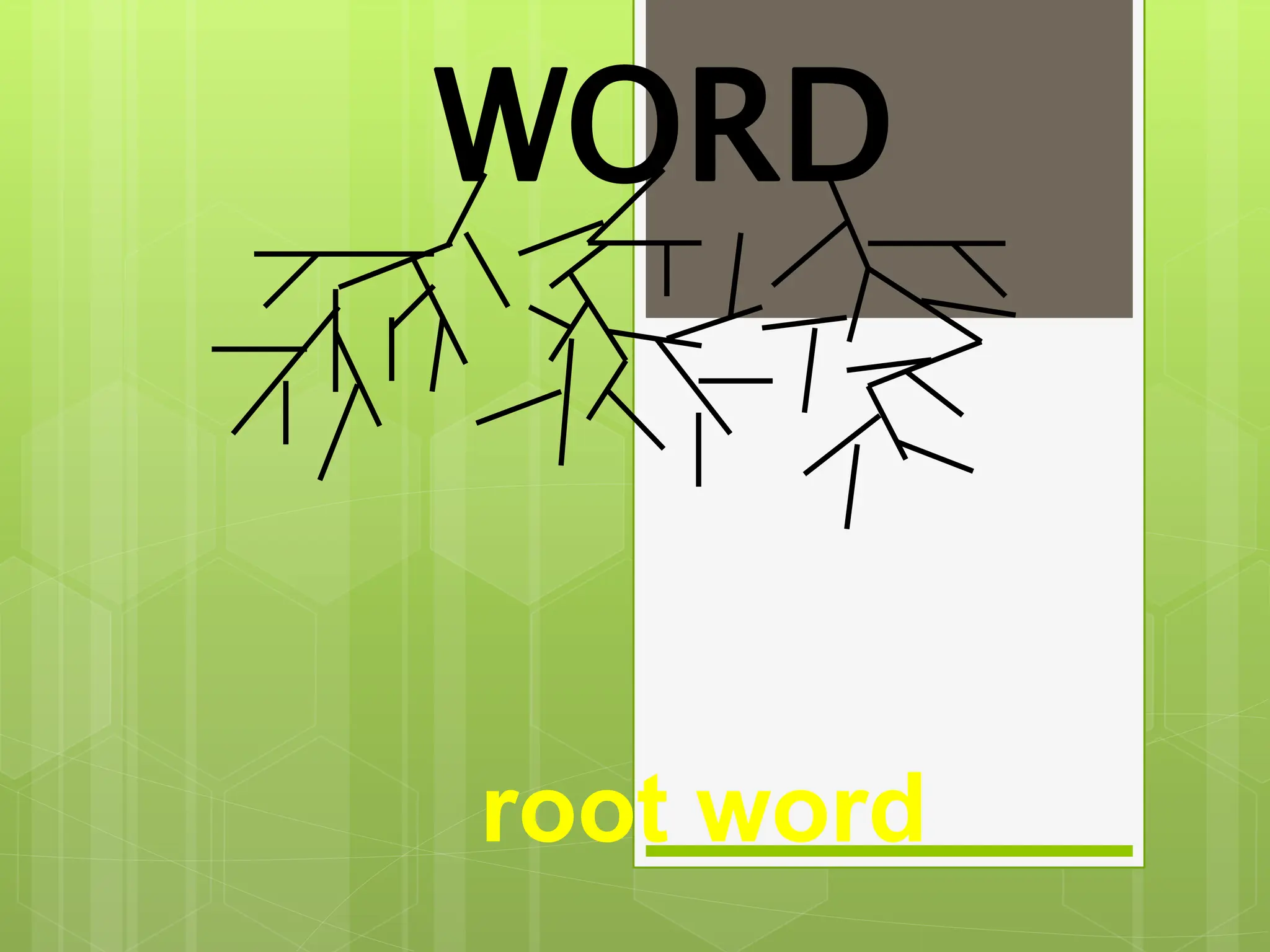 root word
WORD
 