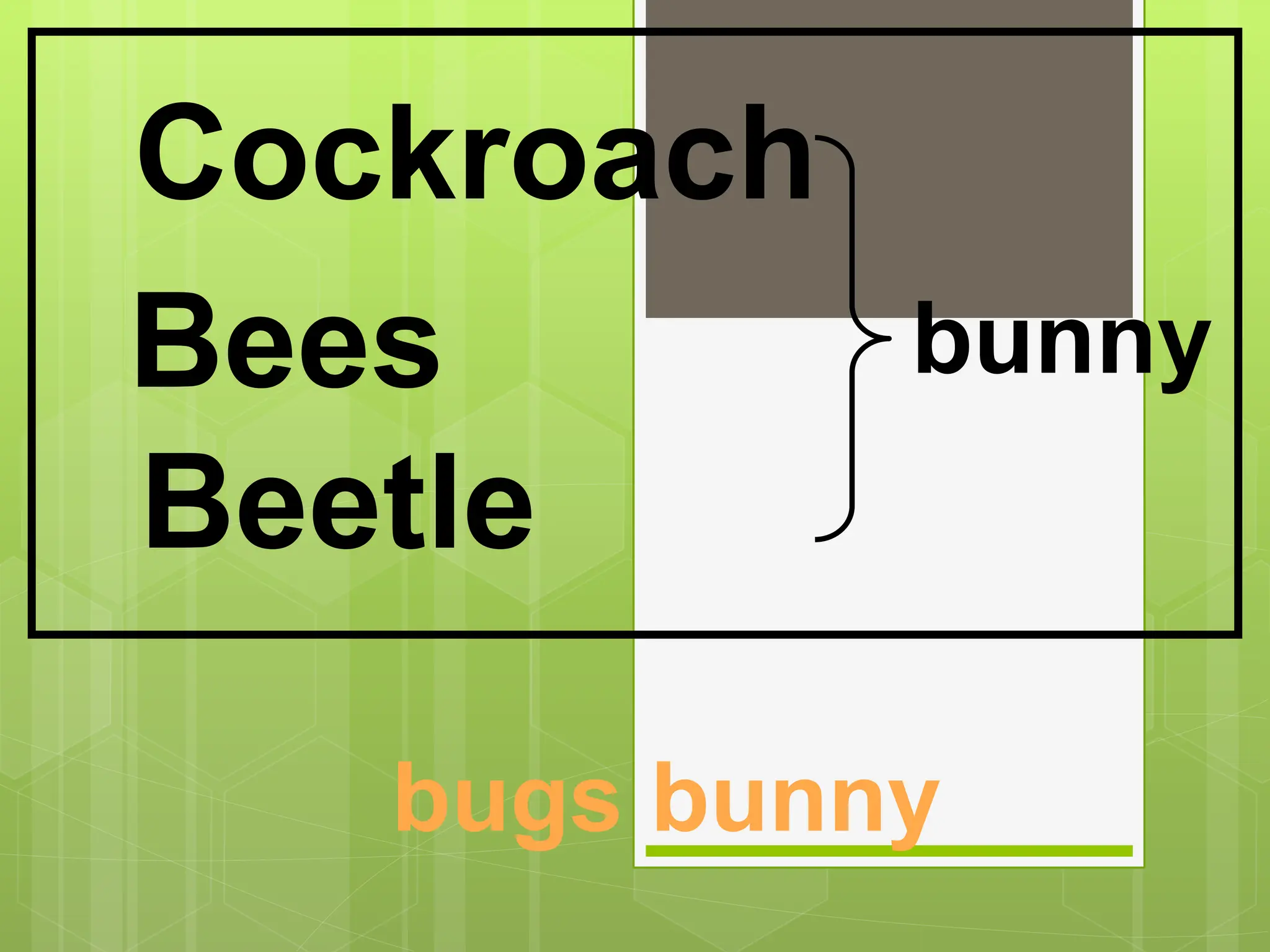 bugs bunny
Cockroach
Bees
Beetle
bunny
 