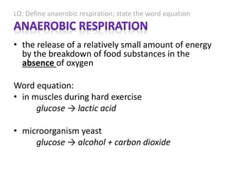 LO: Define anaerobic respiration; state the word equation
• the release of a relatively small amount of energy
by the breakdown of food substances in the
absence of oxygen
Word equation:
• in muscles during hard exercise
glucose → lactic acid
• microorganism yeast
glucose → alcohol + carbon dioxide
 