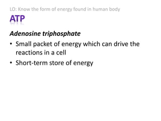 LO: Know the form of energy found in human body
Adenosine triphosphate
• Small packet of energy which can drive the
reactions in a cell
• Short-term store of energy
 
