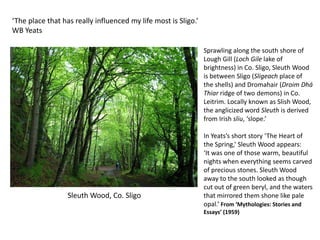 ‘The place that has really influenced my life most is Sligo.’
WB Yeats

                                                                Sprawling along the south shore of
                                                                Lough Gill (Loch Gile lake of
                                                                brightness) in Co. Sligo, Sleuth Wood
                                                                is between Sligo (Sligeach place of
                                                                the shells) and Dromahair (Droim Dhá
                                                                Thiar ridge of two demons) in Co.
                                                                Leitrim. Locally known as Slish Wood,
                                                                the anglicized word Sleuth is derived
                                                                from Irish sliu, ‘slope.’

                                                                In Yeats’s short story ‘The Heart of
                                                                the Spring,’ Sleuth Wood appears:
                                                                ‘It was one of those warm, beautiful
                                                                nights when everything seems carved
                                                                of precious stones. Sleuth Wood
                                                                away to the south looked as though
                                                                cut out of green beryl, and the waters
                  Sleuth Wood, Co. Sligo                        that mirrored them shone like pale
                                                                opal.’ From ‘Mythologies: Stories and
                                                                Essays’ (1959)
 