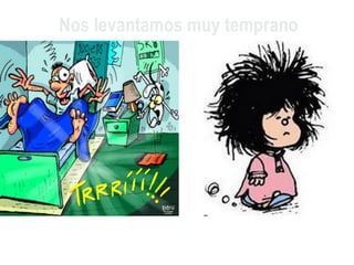 Nos levantamos muy temprano
 
