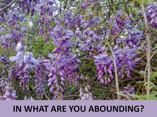 IN WHAT ARE YOU ABOUNDING?
 