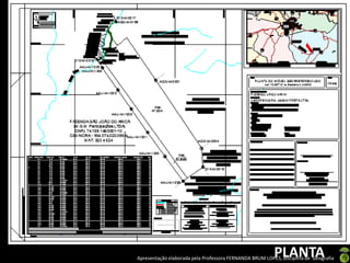 Apresentação elaborada pela Professora FERNANDA BRUM LOPES, disciplina de Geografia
PLANTA
 