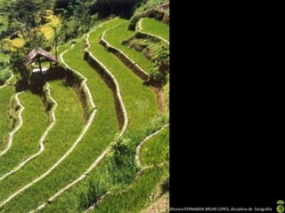 Apresentação elaborada pela Professora FERNANDA BRUM LOPES, disciplina de Geografia
 