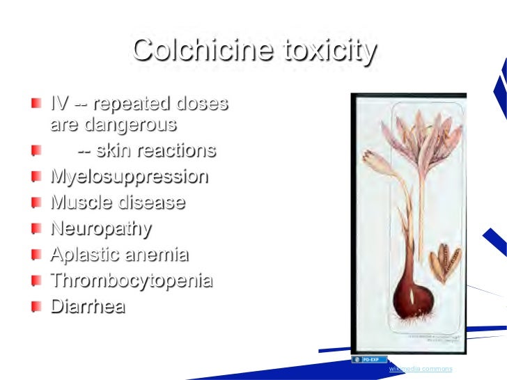 Colchicine negative effects