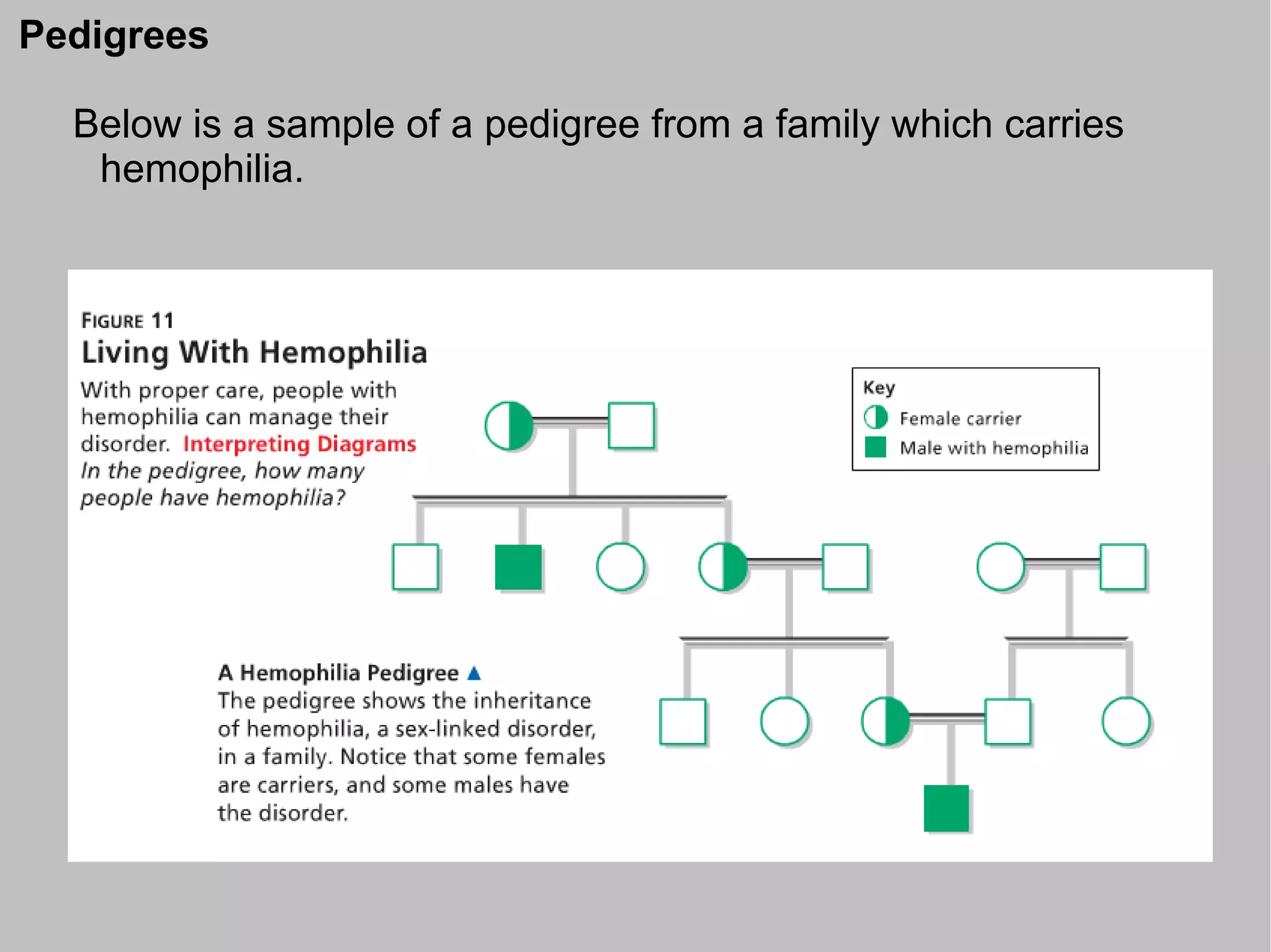 Pedigrees

  Below is a sample of a pedigree from a family which carries
   hemophilia.
 