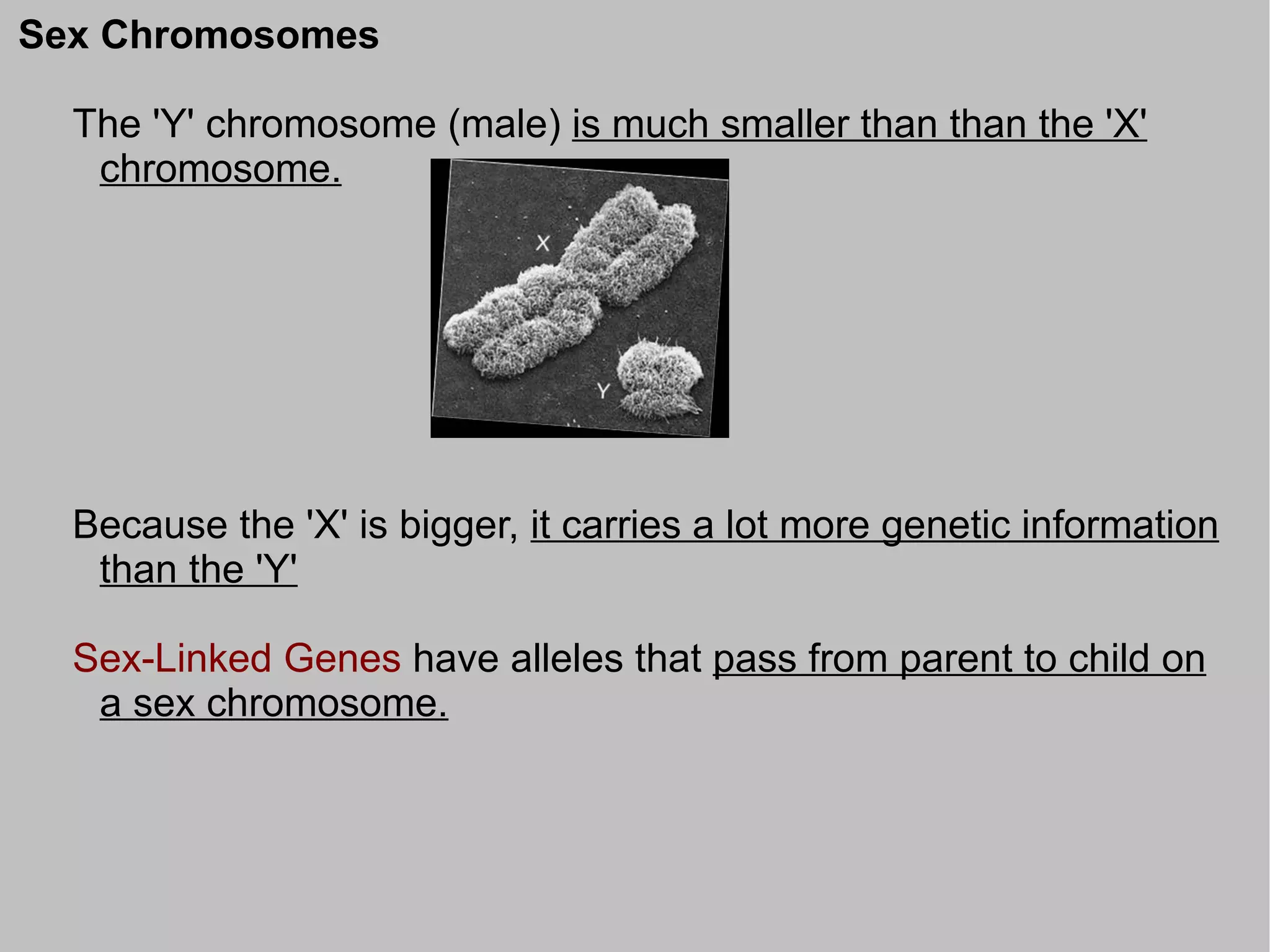 Sex Chromosomes

  The 'Y' chromosome (male) is much smaller than than the 'X'
   chromosome.




  Because the 'X' is bigger, it carries a lot more genetic information
   than the 'Y'

  Sex-Linked Genes have alleles that pass from parent to child on
   a sex chromosome.
 
