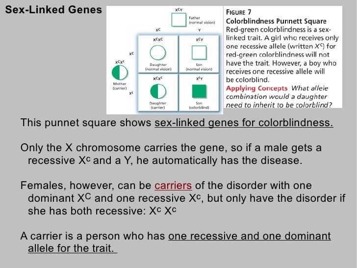 Human Inheritance & Genetic Disorders