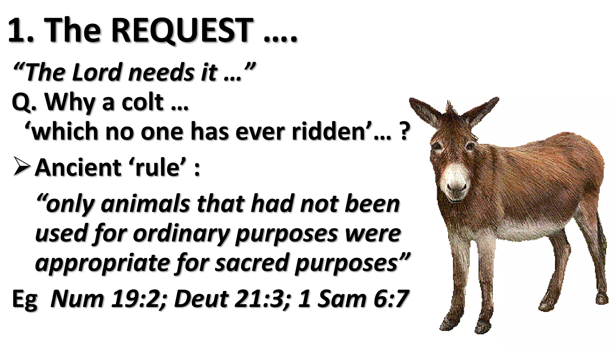 “The Lord needs it …”
Q. Why a colt …
‘which no one has ever ridden’… ?
Ancient ‘rule’ :
“only animals that had not been
used for ordinary purposes were
appropriate for sacred purposes”
Eg Num 19:2; Deut 21:3; 1 Sam 6:7
1. The REQUEST ….
 