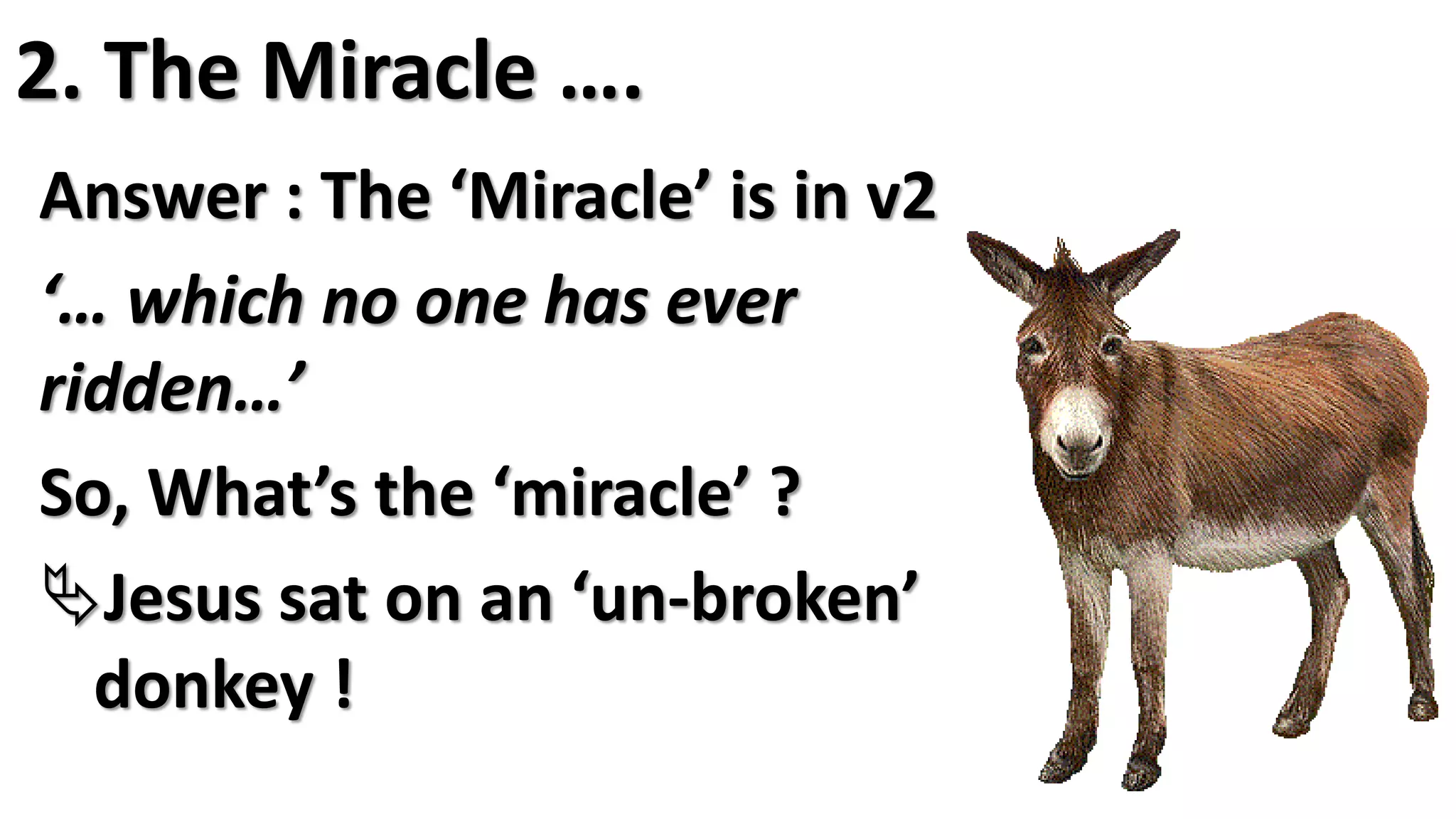 2. The Miracle ….
Answer : The ‘Miracle’ is in v2
‘… which no one has ever
ridden…’
So, What’s the ‘miracle’ ?
Jesus sat on an ‘un-broken’
donkey !
 