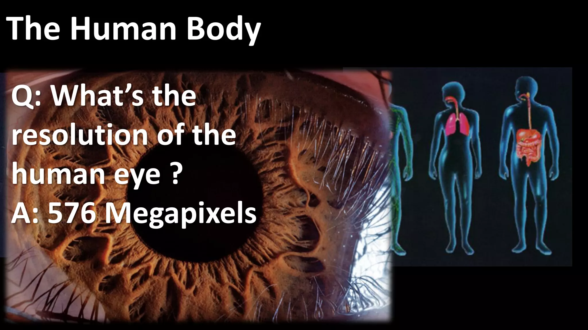 The Human Body
Q: What’s the
resolution of the
human eye ?
A: 576 Megapixels
 