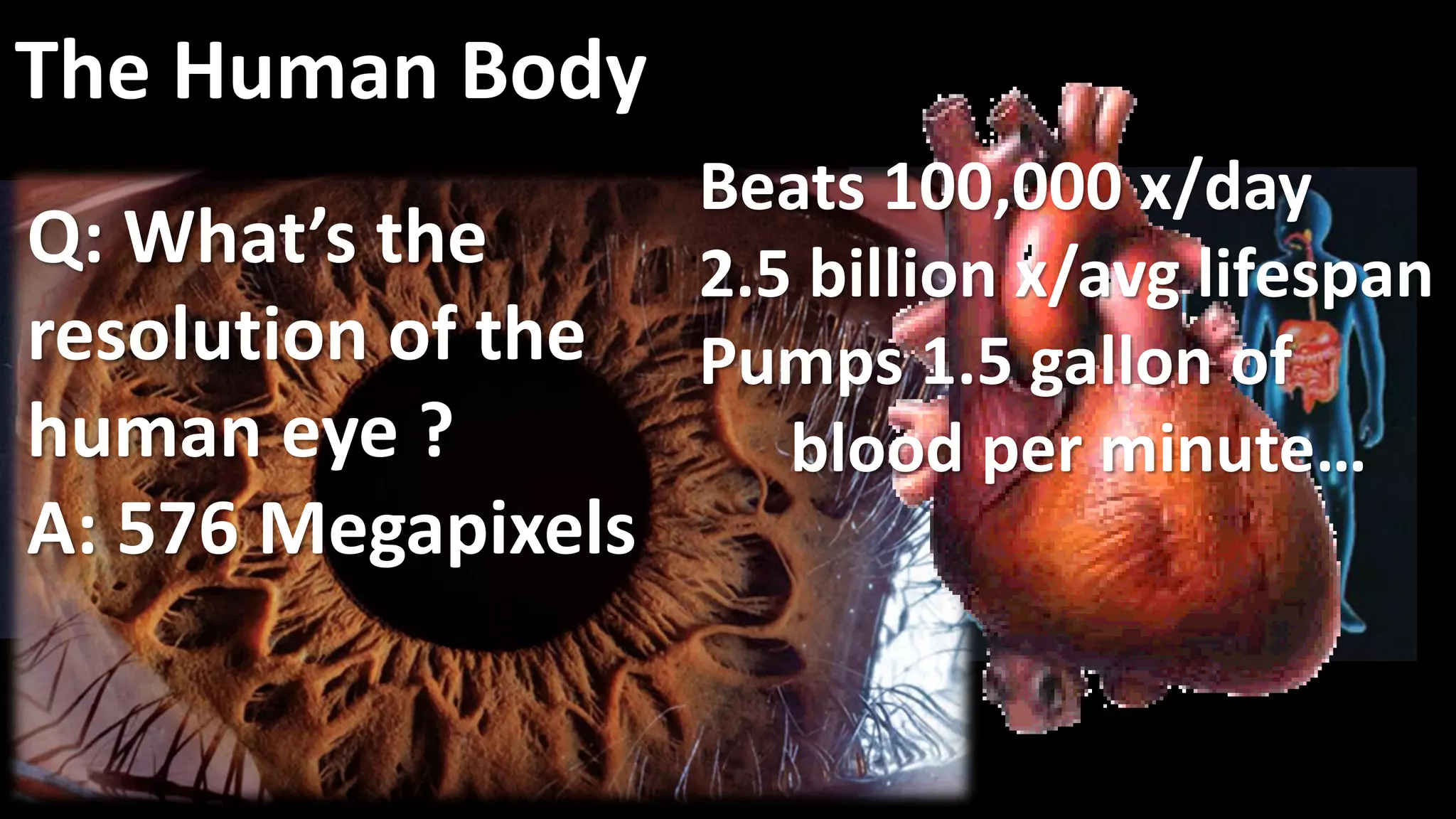 The Human Body
Q: What’s the
resolution of the
human eye ?
A: 576 Megapixels
Beats 100,000 x/day
2.5 billion x/avg lifespan
Pumps 1.5 gallon of
blood per minute…
 