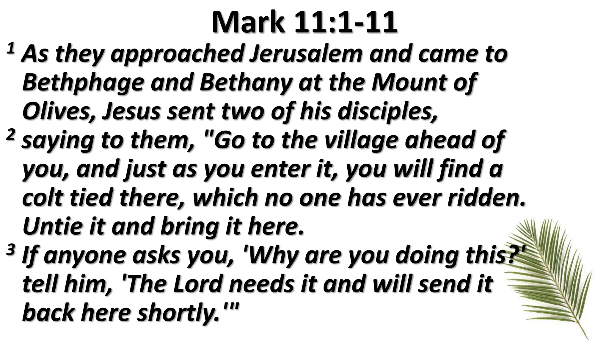 Mark 11:1-11
1 As they approached Jerusalem and came to
Bethphage and Bethany at the Mount of
Olives, Jesus sent two of his disciples,
2 saying to them, "Go to the village ahead of
you, and just as you enter it, you will find a
colt tied there, which no one has ever ridden.
Untie it and bring it here.
3 If anyone asks you, 'Why are you doing this?'
tell him, 'The Lord needs it and will send it
back here shortly.'"
 