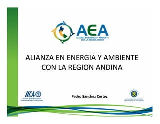 ALIANZA EN ENERGIA Y AMBIENTE
    CON LA REGION ANDINA


           Pedro Sanchez Cortez
 