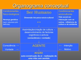 Organograma conceptual ACÇÃO   auto-construção de si - realização de uma vida com sentido ←   Intenção ←   Motivo AGENTE ↓ Consciência   -> Vontade   -> Assimilação/criação de cultura  -  desenvolvimento de factores cognitivos e activos  ( consciência  e  vontade ) ↓ Condicionantes socioculturais   Vida social em interacção com os outros - influência da cultura e do ambiente Ser Humano Dimensão bio-psico-sócio-cultural ↔ ↓ Condicionantes físico-biológicos   Herança genética   (sem natureza pré-definida) 