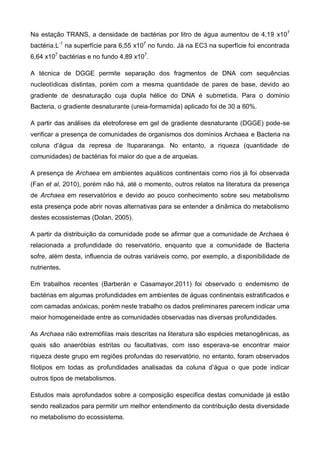 Na estação TRANS, a densidade de bactérias por litro de água aumentou de 4,19 x107
bactéria.L-1 na superfície para 6,55 x107 no fundo. Já na EC3 na superfície foi encontrada
6,64 x107 bactérias e no fundo 4,89 x107.

A técnica de DGGE permite separação dos fragmentos de DNA com sequências
nucleotídicas distintas, porém com a mesma quantidade de pares de base, devido ao
gradiente de desnaturação cuja dupla hélice do DNA é submetida. Para o domínio
Bacteria, o gradiente desnaturante (ureia-formamida) aplicado foi de 30 a 60%.

A partir das análises da eletroforese em gel de gradiente desnaturante (DGGE) pode-se
verificar a presença de comunidades de organismos dos domínios Archaea e Bacteria na
coluna d’água da represa de Itupararanga. No entanto, a riqueza (quantidade de
comunidades) de bactérias foi maior do que a de arqueias.

A presença de Archaea em ambientes aquáticos continentais como rios já foi observada
(Fan et al, 2010), porém não há, até o momento, outros relatos na literatura da presença
de Archaea em reservatórios e devido ao pouco conhecimento sobre seu metabolismo
esta presença pode abrir novas alternativas para se entender a dinâmica do metabolismo
destes ecossistemas (Dolan, 2005).

A partir da distribuição da comunidade pode se afirmar que a comunidade de Archaea é
relacionada a profundidade do reservatório, enquanto que a comunidade de Bacteria
sofre, além desta, influencia de outras variáveis como, por exemplo, a disponibilidade de
nutrientes.

Em trabalhos recentes (Barberán e Casamayor,2011) foi observado o endemismo de
bactérias em algumas profundidades em ambientes de águas continentais estratificados e
com camadas anóxicas, porém neste trabalho os dados preliminares parecem indicar uma
maior homogeneidade entre as comunidades observadas nas diversas profundidades.

As Archaea não extremófilas mais descritas na literatura são espécies metanogênicas, as
quais são anaeróbias estritas ou facultativas, com isso esperava-se encontrar maior
riqueza deste grupo em regiões profundas do reservatório, no entanto, foram observados
filotipos em todas as profundidades analisadas da coluna d’água o que pode indicar
outros tipos de metabolismos.

Estudos mais aprofundados sobre a composição especifica destas comunidade já estão
sendo realizados para permitir um melhor entendimento da contribuição desta diversidade
no metabolismo do ecossistema.
 