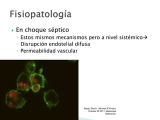  En choque séptico
◦ Estos mismos mecanismos pero a nivel sistémico
◦ Disrupción endotelial difusa
◦ Permeabilidad vascular
Septic Shock . Michael R Pinsky.
October 25 2011. Medscape
Reference.
 