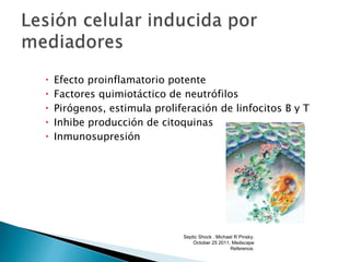  Efecto proinflamatorio potente
 Factores quimiotáctico de neutrófilos
 Pirógenos, estimula proliferación de linfocitos B y T
 Inhibe producción de citoquinas
 Inmunosupresión
Septic Shock . Michael R Pinsky.
October 25 2011. Medscape
Reference.
 