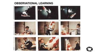 OBSERVATIONAL LEARNING 
 