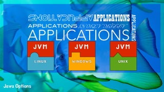 APPLICATIONS 
APPLICATIONS 
APPLICATIONS 
APPLICATIONS 
Java Options 
J V M 
L I N U X 
J V M J V M 
W I N D O W S U N I X 
APPLICATIONS 
APPLICATIONS 
 