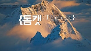 {톰캣: T o m c a t } 
 