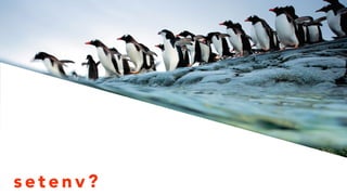 setenv? 
 