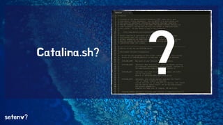 setenv? 
Catalina.sh? ? 
 