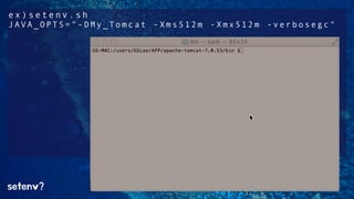 ex)setenv.sh 
JAVA_OPTS="-DMy_Tomcat -Xms512m -Xmx512m -verbosegc" 
setenv? 
 