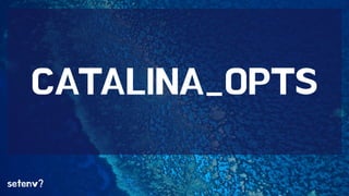 CATALINA_OPTS 
setenv? 
 