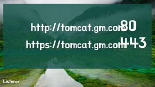 Listener 
http://tomcat.gm.com:80 
https://tomcat.gm.com:443 
 