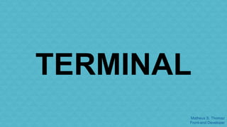 TERMINAL 
Matheus S. Thomaz 
Front-end Developer 
 
