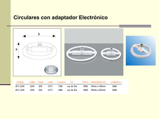 Circulares con adaptador Electrónico 
 