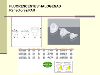 FLUORESCENTES/HALOGENAS 
Reflectores/PAR 
 