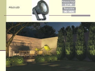POLO LED 
 