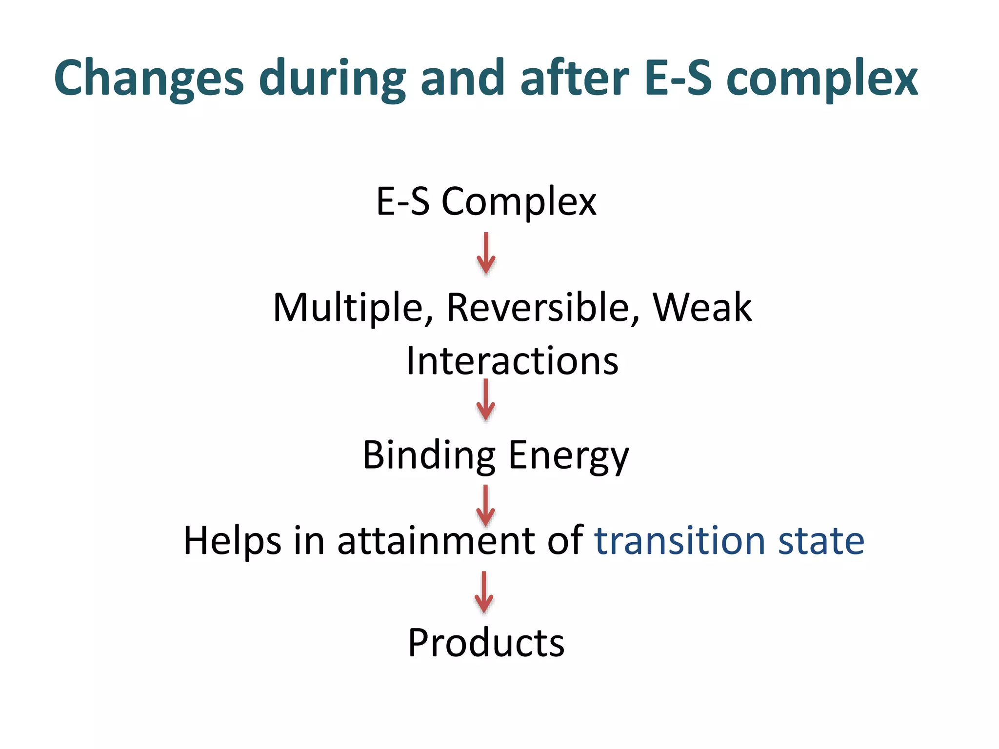 Changes during and after E-S complex
E-S Complex
Multiple, Reversible, Weak
Interactions
Binding Energy
Helps in attainment of transition state
Products
 