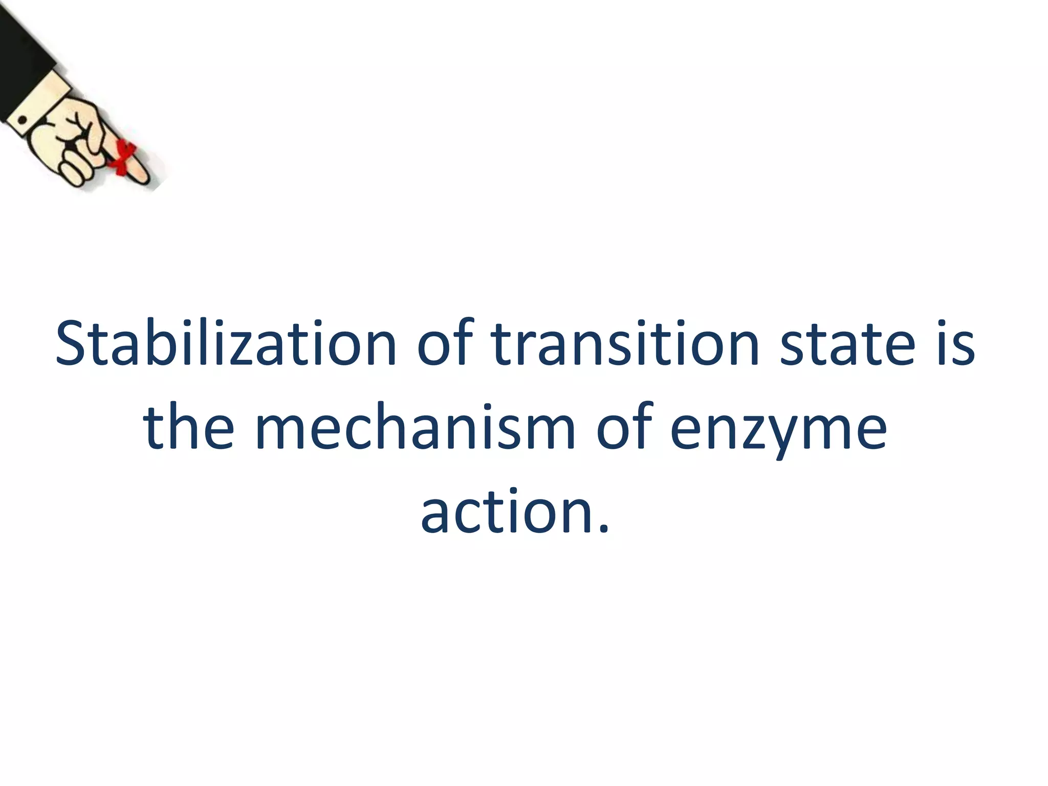 Stabilization of transition state is
the mechanism of enzyme
action.
 